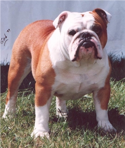 nortonph.jpg (74201 octets)