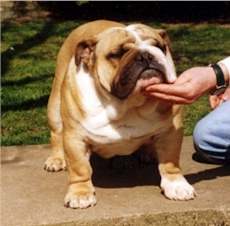 poppersph.jpg (55376 octets)