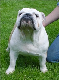 purdayph.jpg (54302 octets)