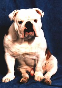 vulcain.jpg (12828 octets)